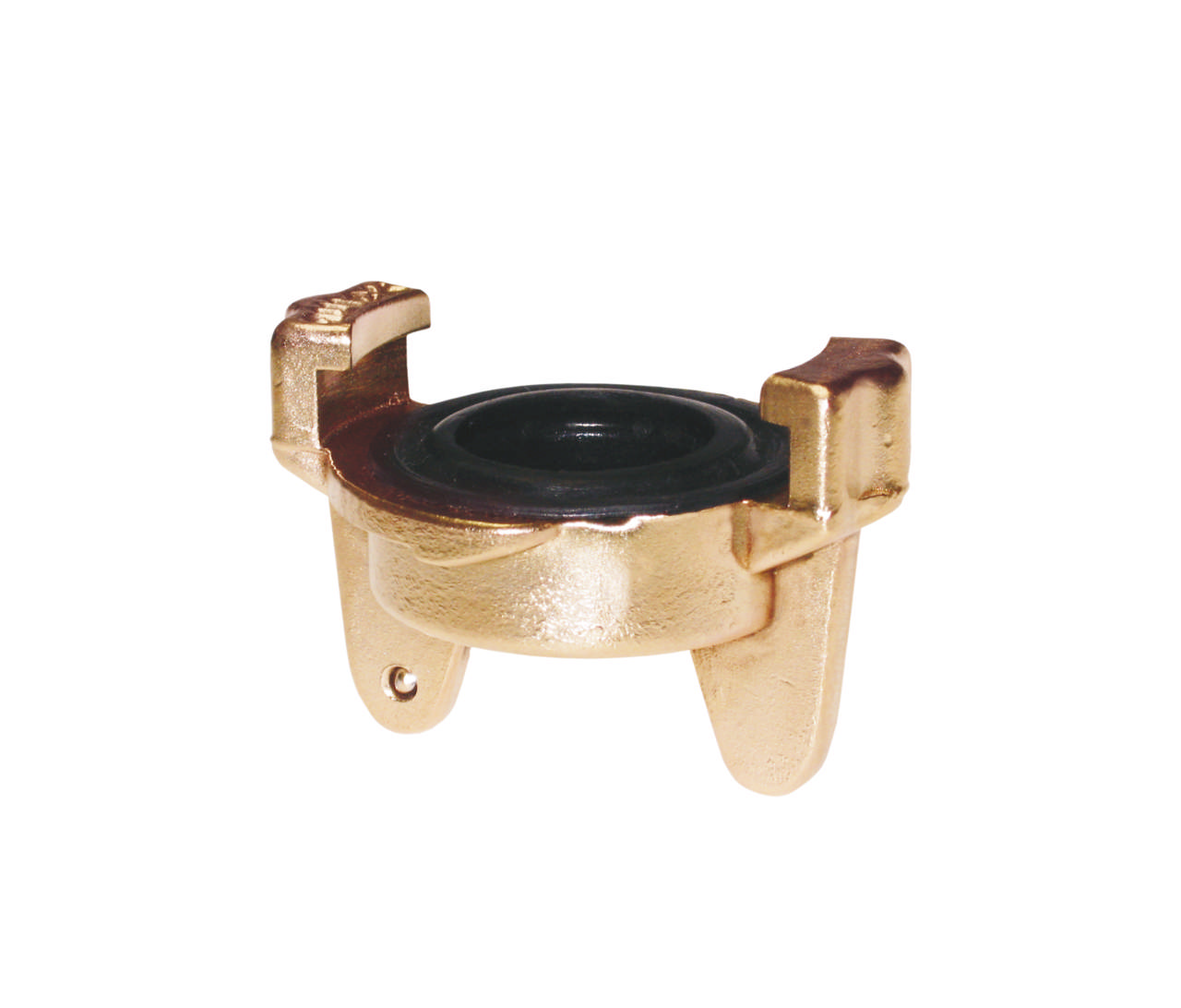 Express fitting plug