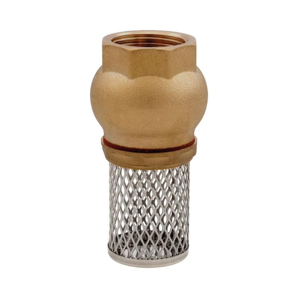 Foot valve brass with filter